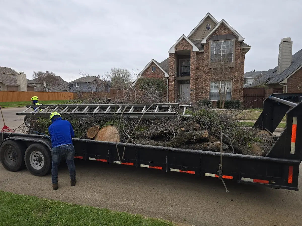 Expert Tree Fertilization with proper safety equipment in Sussex